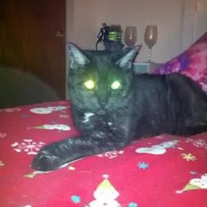 Meet your Posher, Kelley